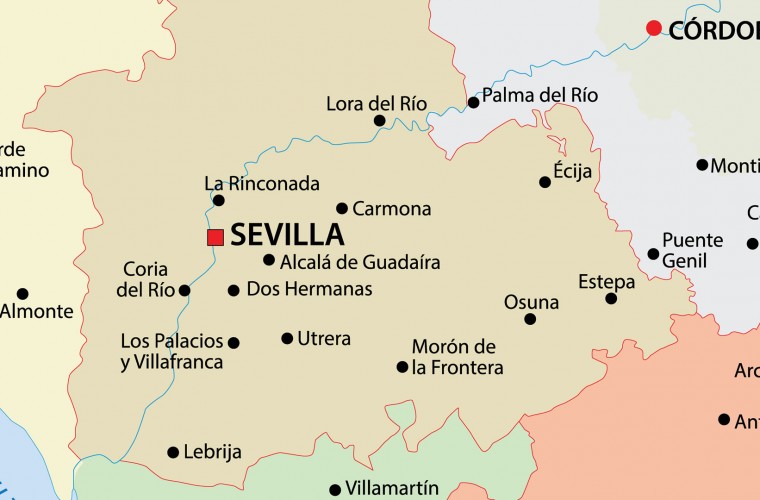 Logopedia a domicilio en Sevilla